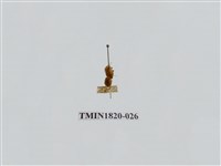 藏品(蔬菜害蟲)的圖片